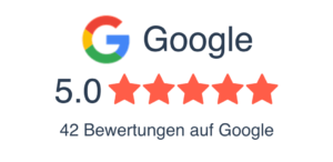 LEOSA Webagentur 5 Sterne Google Bewertung 2 1